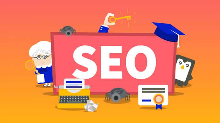 SEO Expert Required